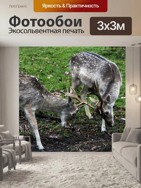 Фотообои Лань