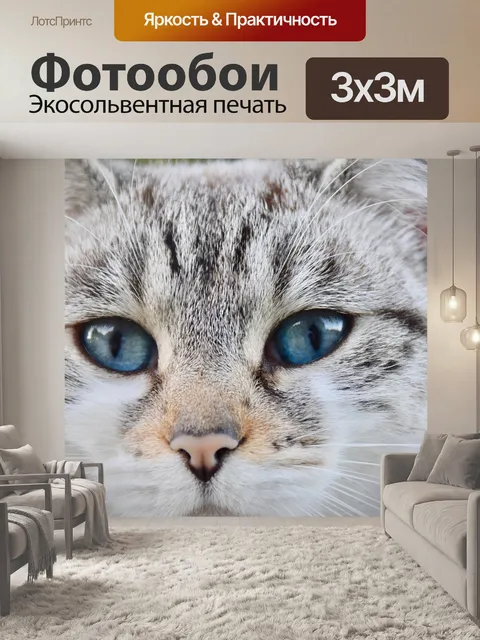 Фотообои Кошка