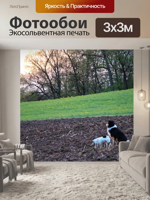 Фотообои Собаки
