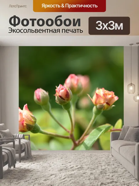Фотообои Розы