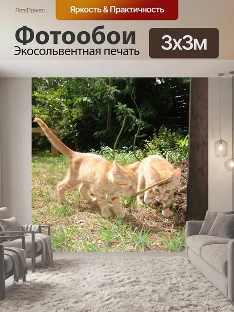Фотообои Кошки