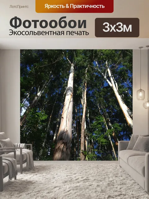 Фотообои Божественные деревья