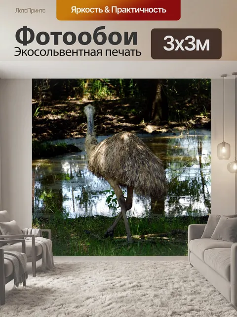 Фотообои Эму