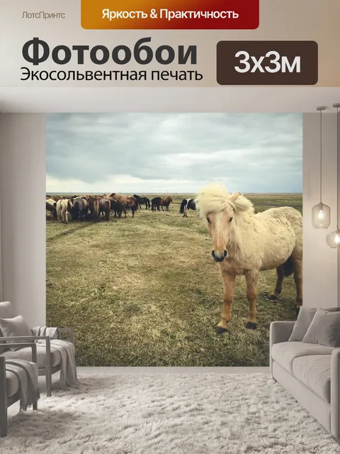 Фотообои Лошади