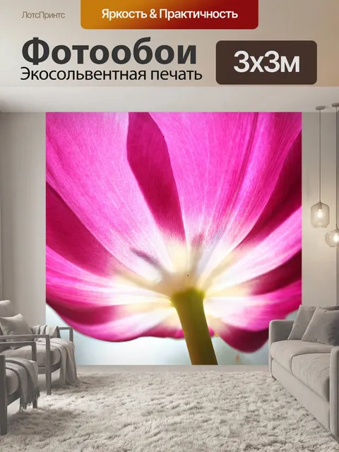Фотообои Розовый