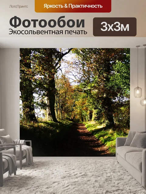 Фотообои Лесная дорога осенью