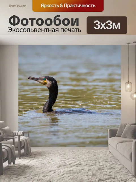 Фотообои Озеро