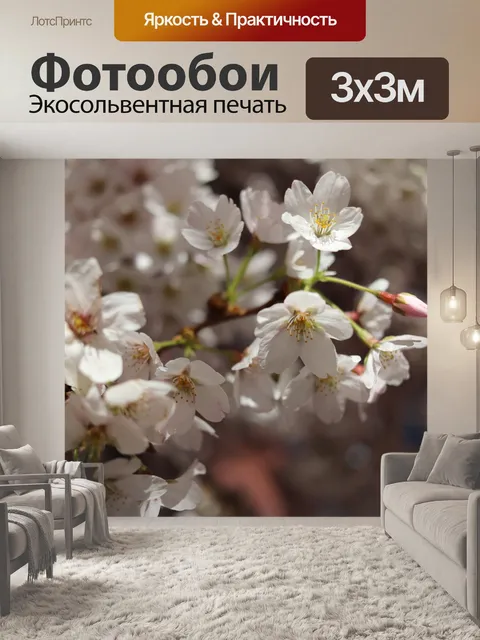 Фотообои Сакура