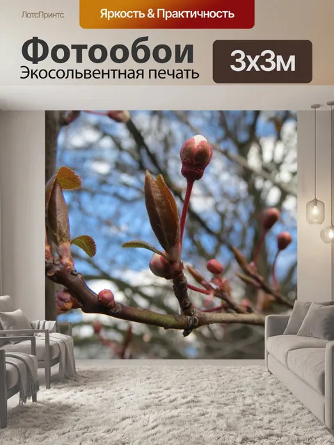 Фотообои Prunus domestica