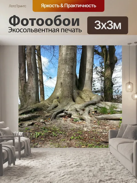 Фотообои Дерево