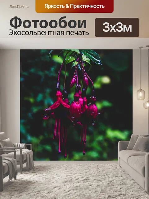 Фотообои Фуксия