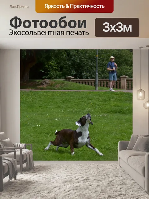 Фотообои Животное