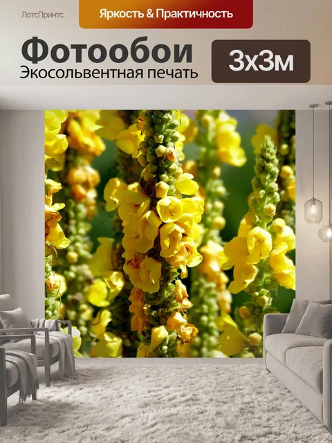 Фотообои Расцветает