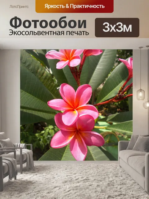 Фотообои Розовые красные цветы плюмерии