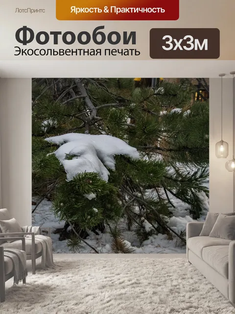 Фотообои Снег покрывает ветку соснового дерева