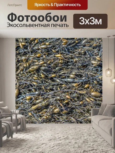 Фотообои Текстура