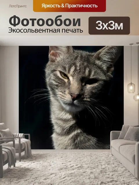 Фотообои Кошка