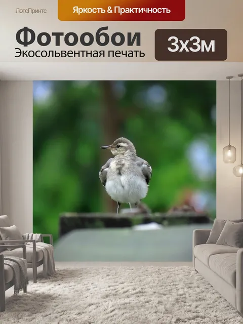 Фотообои Животное