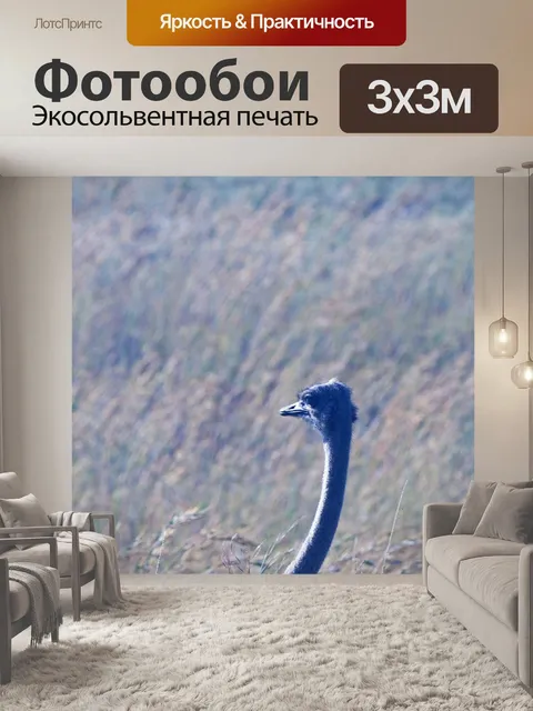 Фотообои голова и шея женского страуса
