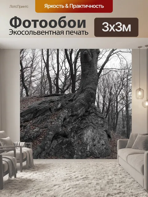 Фотообои Лес