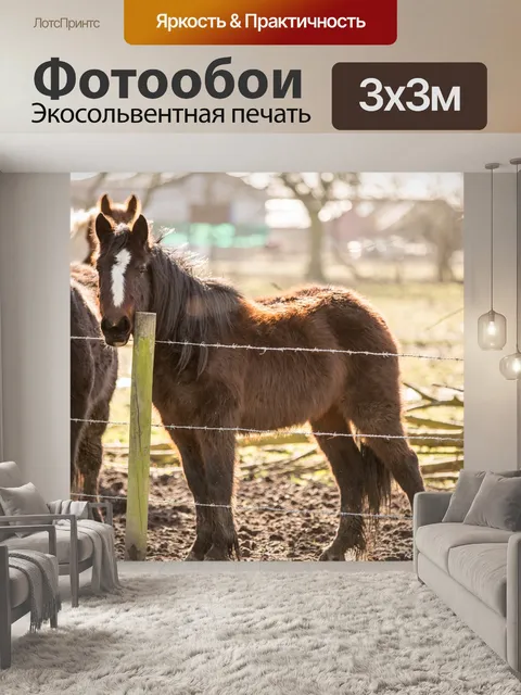 Фотообои лошадь