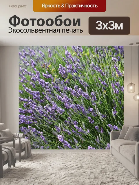 Фотообои Лаванда