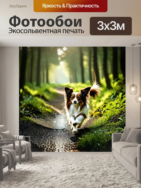 Фотообои папильон, прогуливающийся по секретной дорожке леса, с роса на траве и солнечным светом, пробивающимся…