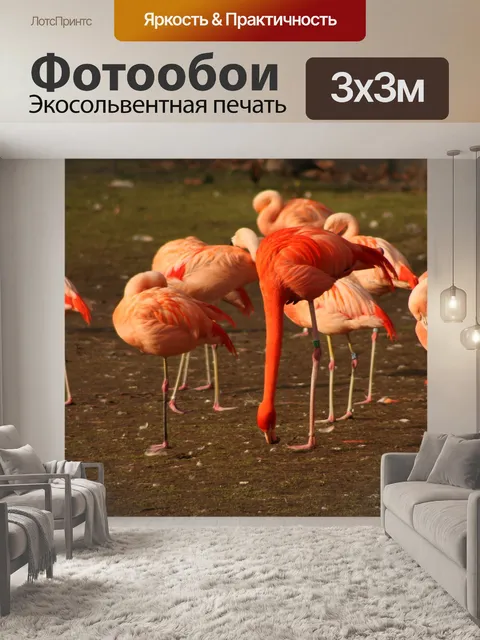 Фотообои Фламинго