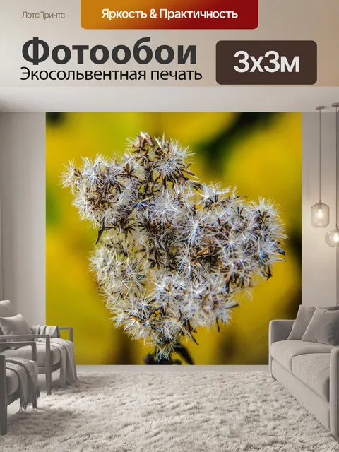 Фотообои Лес
