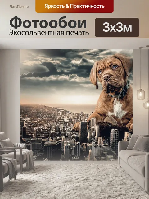 Фотообои Собака
