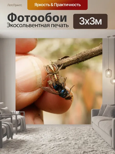 Фотообои Природа