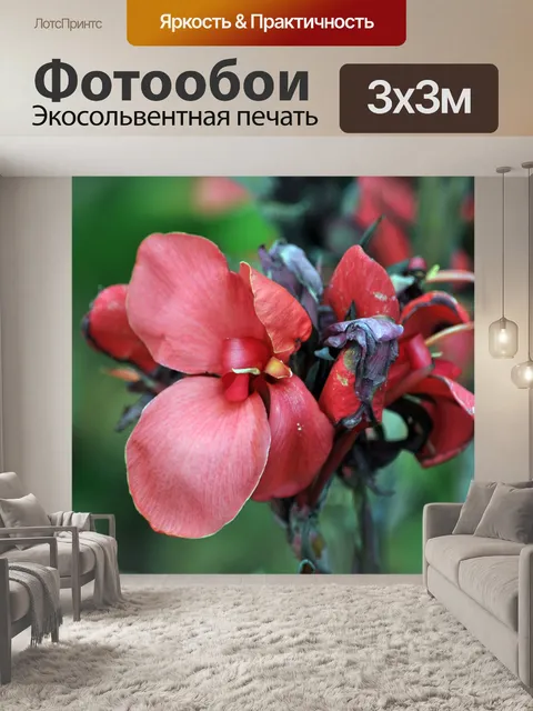 Фотообои Красный и фиолетовый цветок Ирис