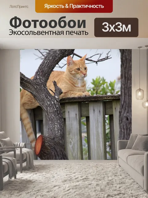 Фотообои Кошка