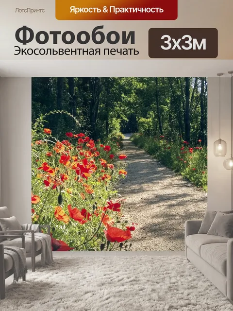 Фотообои Франция