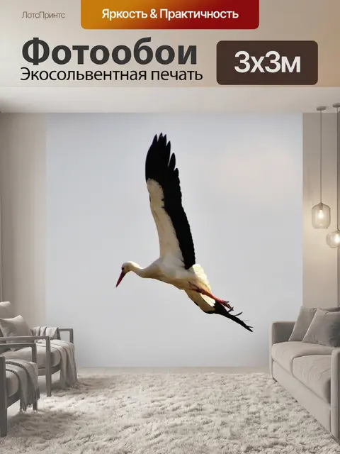 Фотообои Аист