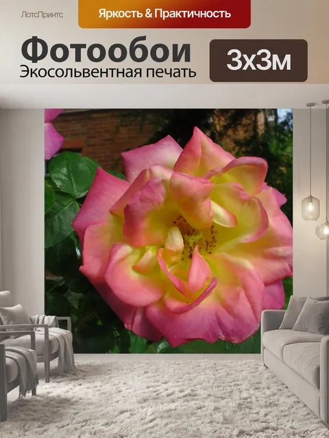 Фотообои Spring Rose