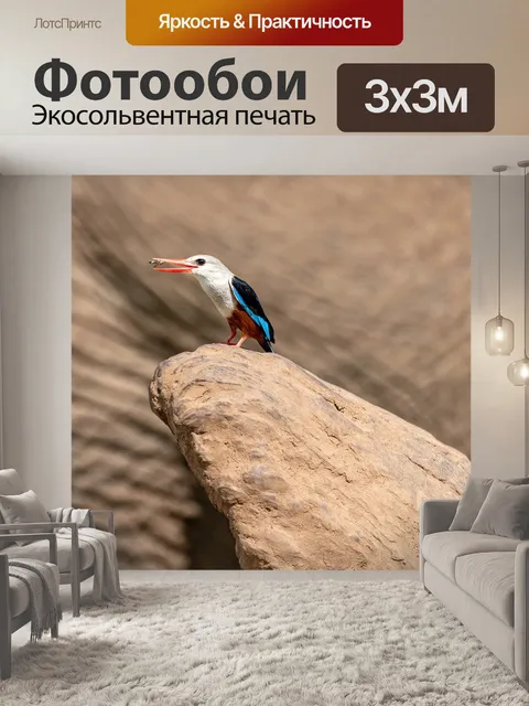 Фотообои Птица