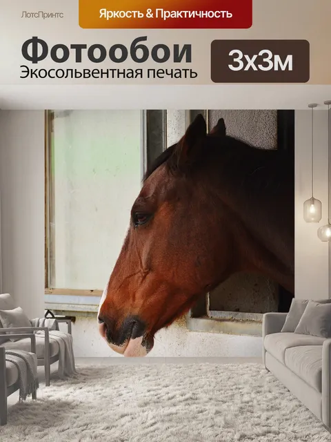 Фотообои Лошадь