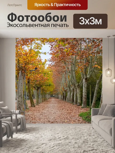 Фотообои Лес