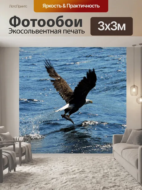 Фотообои Орел