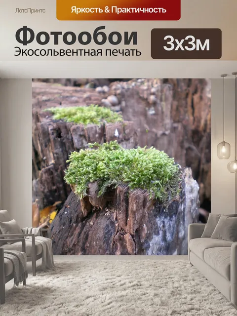 Фотообои Мох