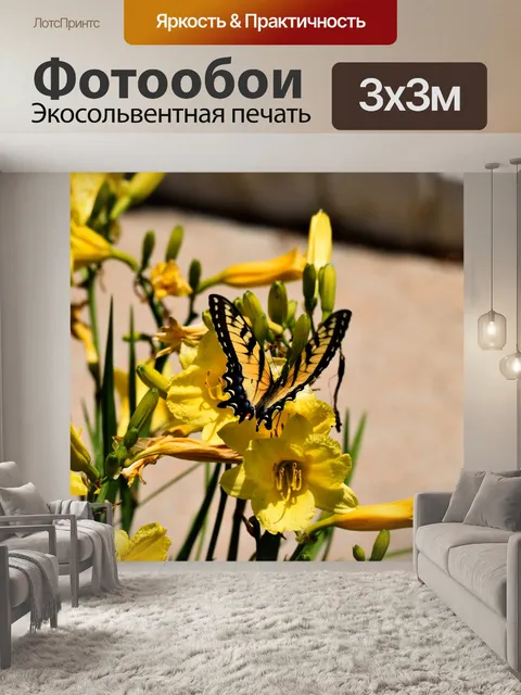 Фотообои Тигр Махаон бабочка