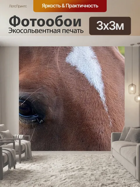 Фотообои Лошадь