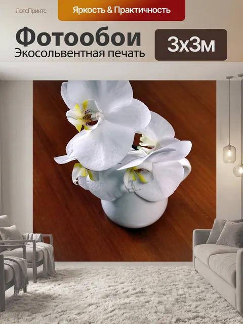 Фотообои Орхидеи