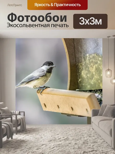 Фотообои Каролина Чикади