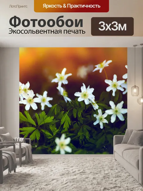 Фотообои Древесные анемоны