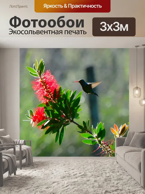 Фотообои Птица