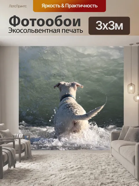 Фотообои Собака