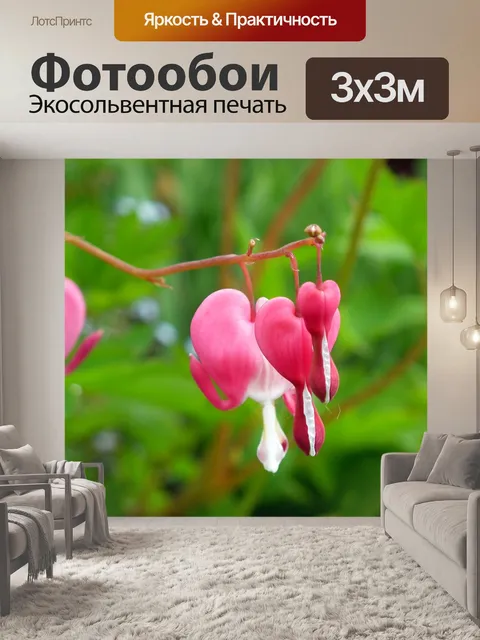 Фотообои Сердца