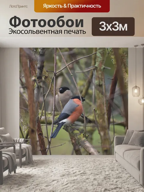 Фотообои Птицы